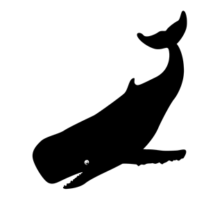 whale Sticker