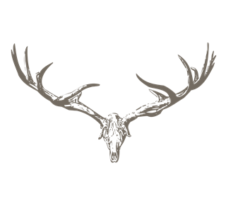 Dear Skull Sticker