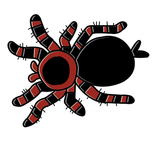 Hairy spider Sticker
