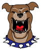 Big Mean Dog