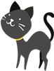 Black Cat