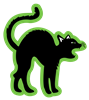 blackcat