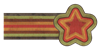 distressedretrostar