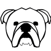 EnglishBulldog001.png
