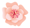 Flower 2