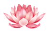 Flower 4