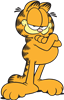 Garfield Arms Crossed