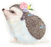 hedgehog_Artboard 1.png