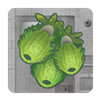 Hiver ID Green Plants