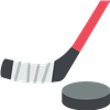 Hockey Stick