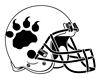 Lions Helmet