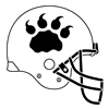 Lions Helmet