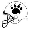 Lions Helmet