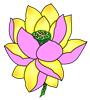 lotus