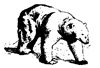 MP_Bear