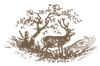 MP_DeerForest