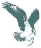 MP_Hawk