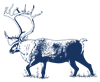 MP_Moose
