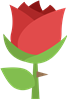 Red Rose