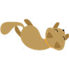 Rolling Cat