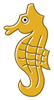 seahorses