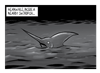 Swordfish