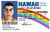 SY_HawaiiID_Artboard 1.png