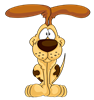 T_dog