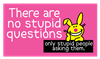 There Are No Stupid Questions