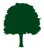 treebig