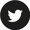 Twitter Solid