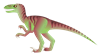Velociraptor