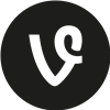 Vine Solid