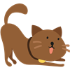 Yoga Cat
