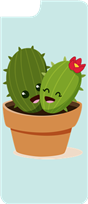 Cacti