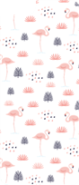 Flamingos